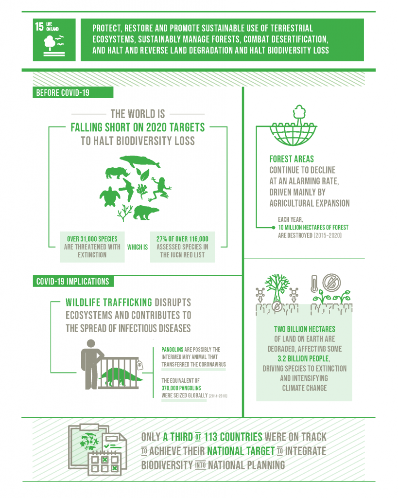 Biodiversity and land use in cotton farming: what Better Cotton is