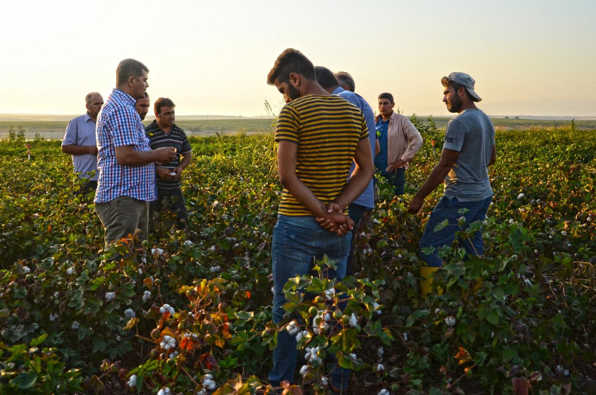 What we do in helping cotton growers to create long-term change.