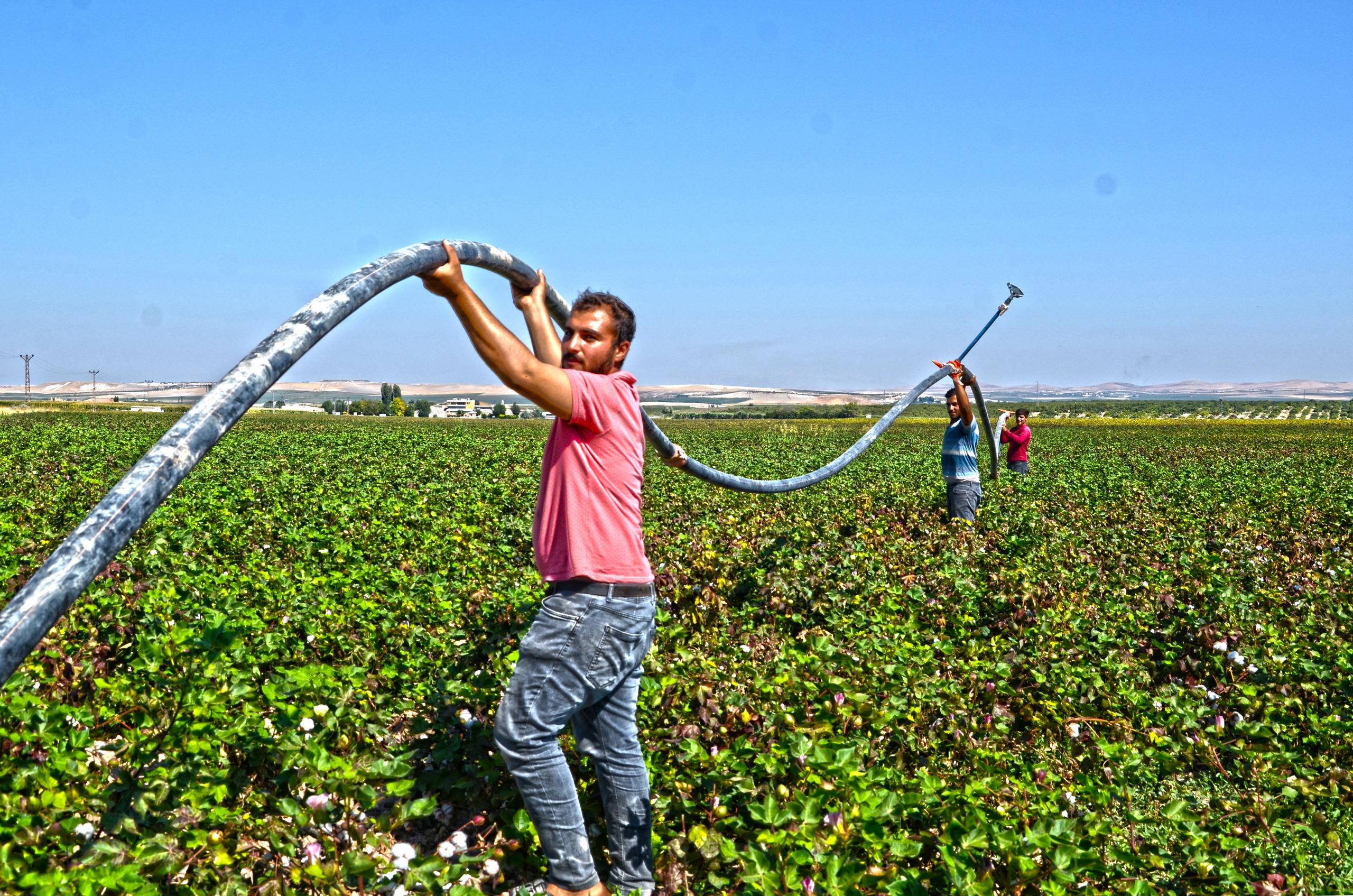 What we do in helping cotton growers to create long-term change.