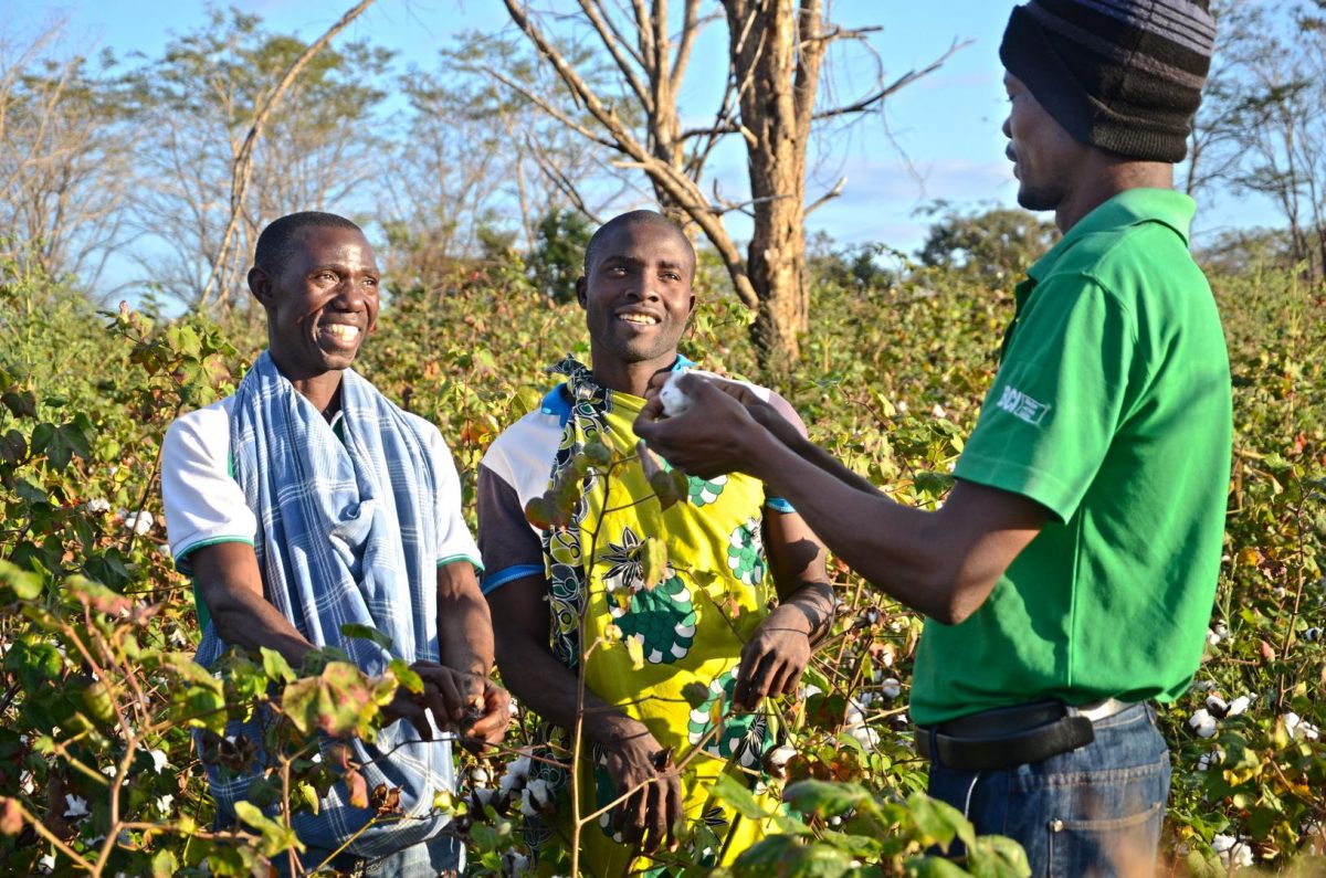 Better Cotton Releases First Study on GHG Emissions - Better Cotton