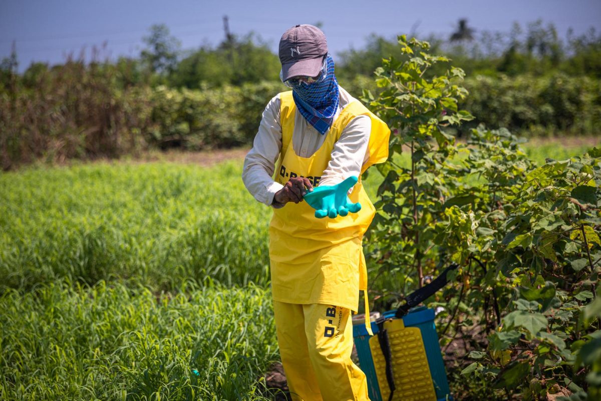 use of pesticides in agriculture