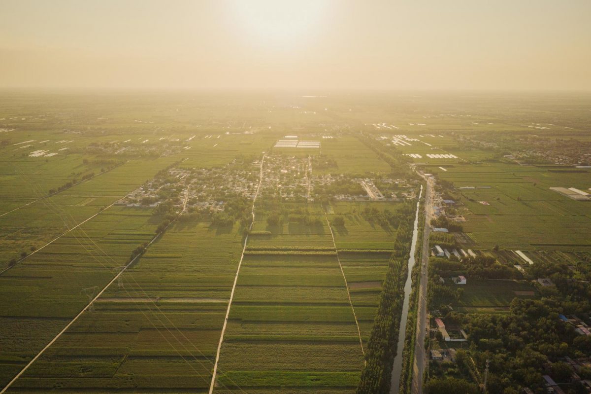 Vista aérea de campos de algodón