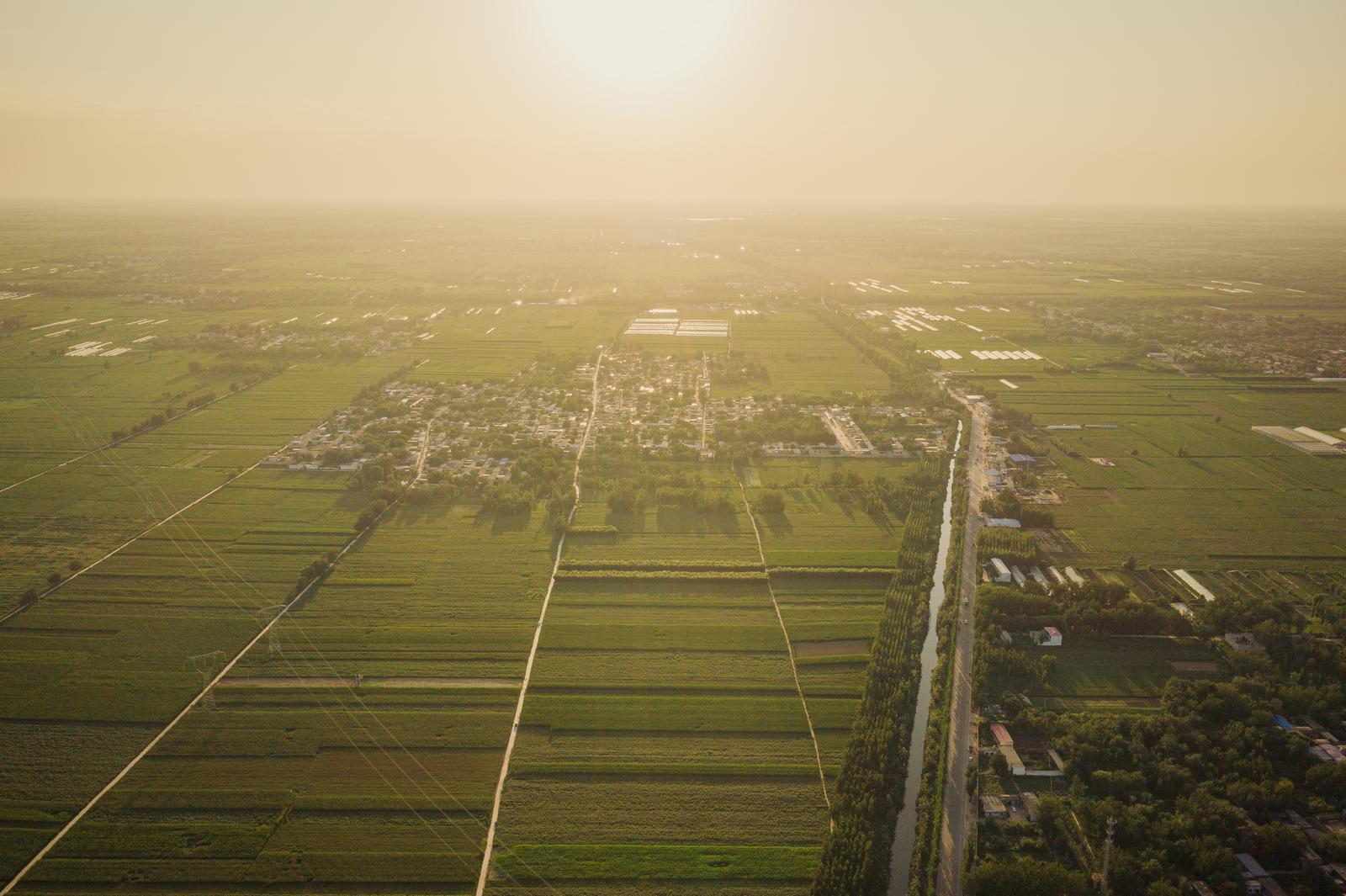 Vista aérea de campos de algodão