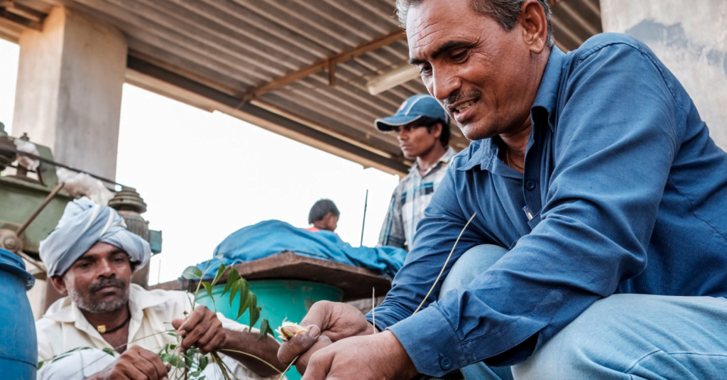 Vinodbhai Patel, prepares a biopesticide using leaves from local Neem trees