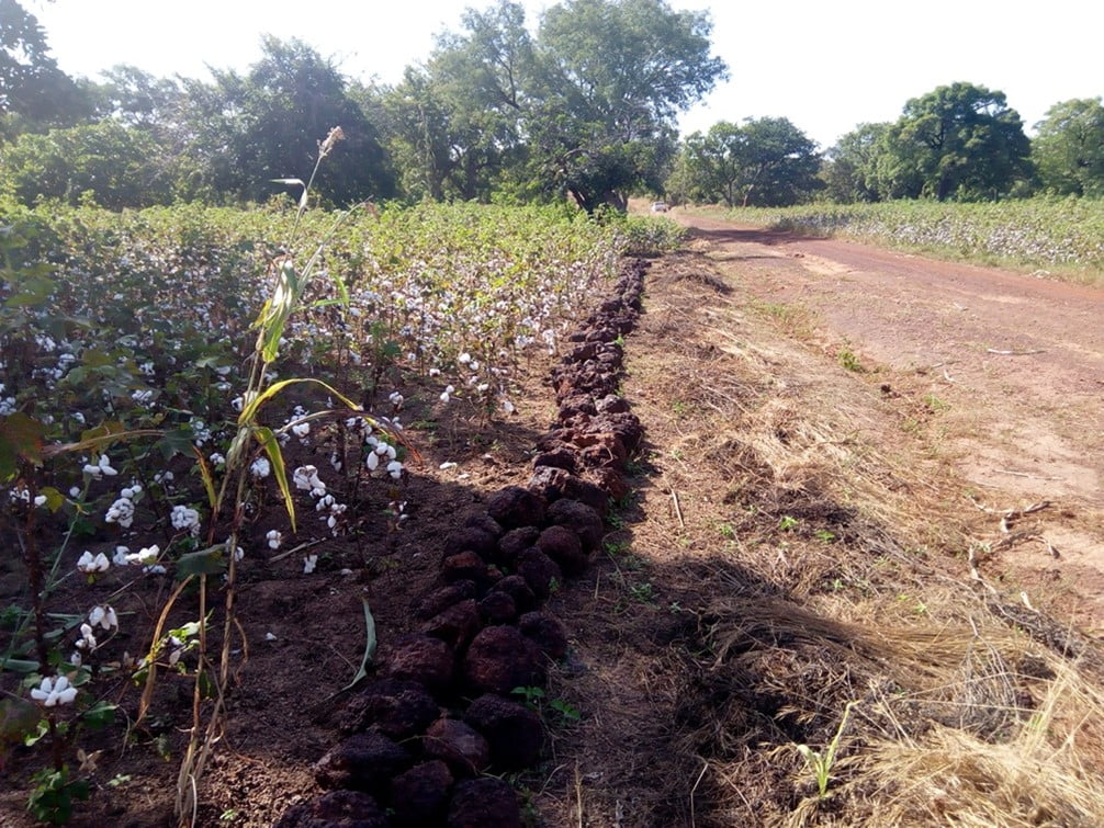 Mali engrais - Pour tout vos besoins en intrants agricoles