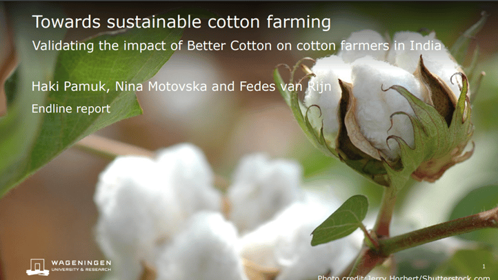 Hacia el cultivo sostenible del algodón: Estudio de impacto de la India - Universidad e investigación de Wageningen
