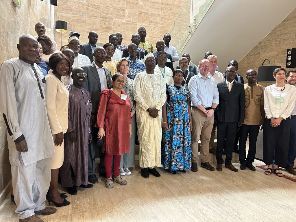 Opportunities in Chad's Cotton Sector With Multistakeholder Meeting -  Better Cotton