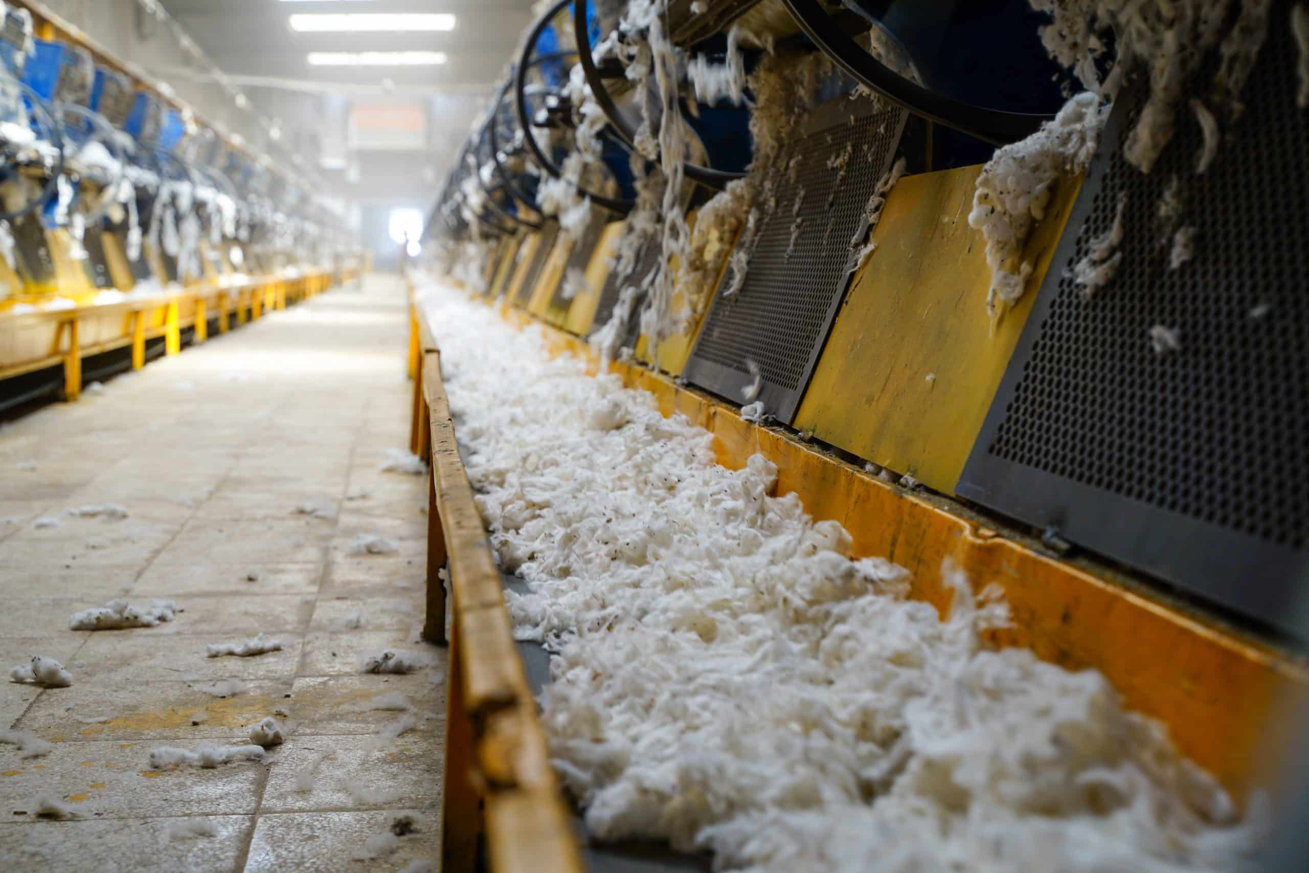 Cotton processing 