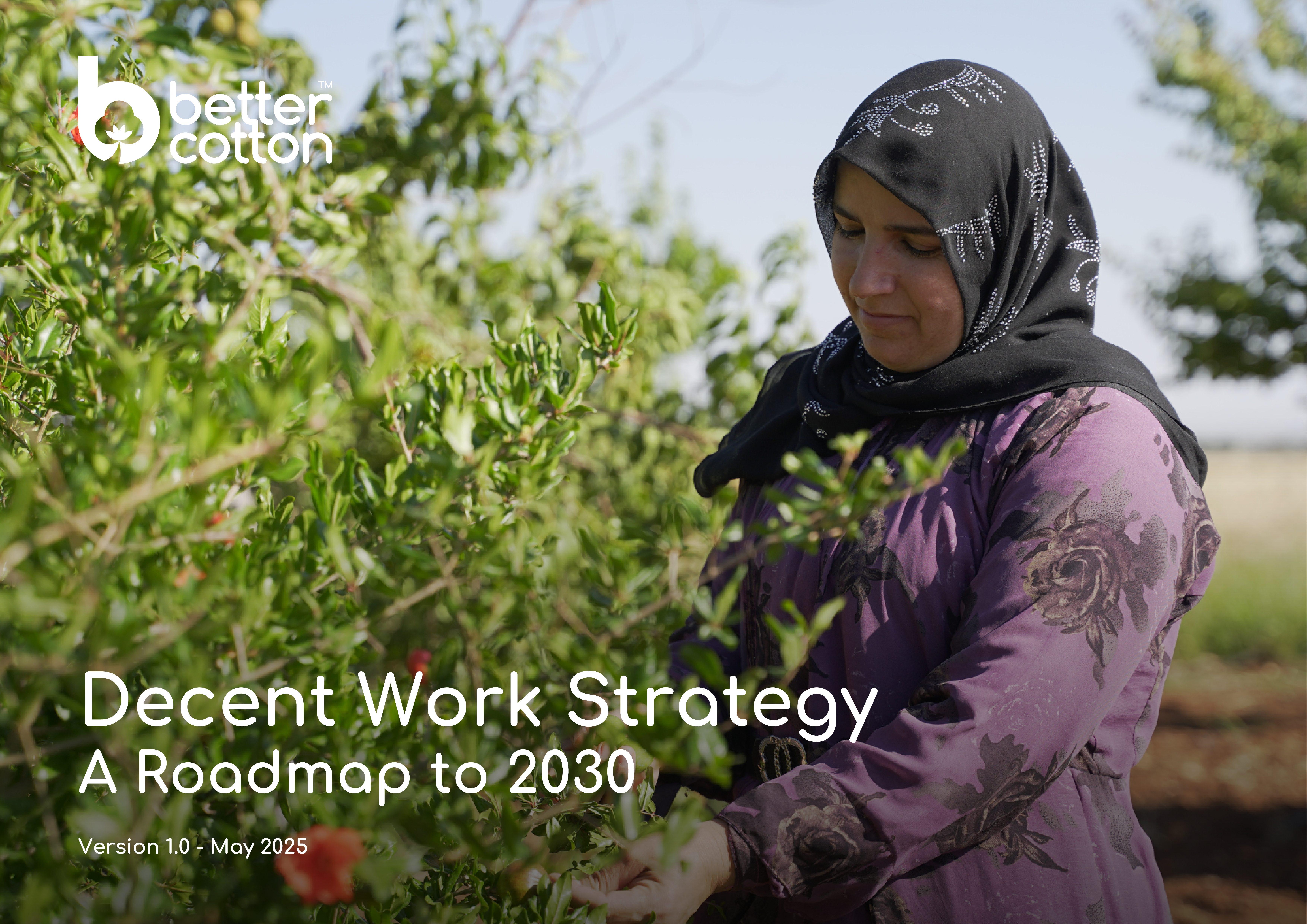 Better Cotton Decent Work Strategy: A Roadmap to 2030
