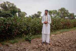 Abdur Rehman, Better Cotton Farmer participating in biodiversity pilot project in Shujabad, Pakistan.