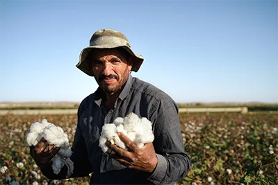 a farmer in a field holding handfuls of cotton