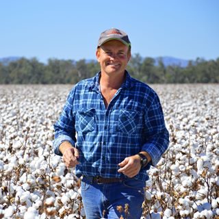 Farmer in cotton field
